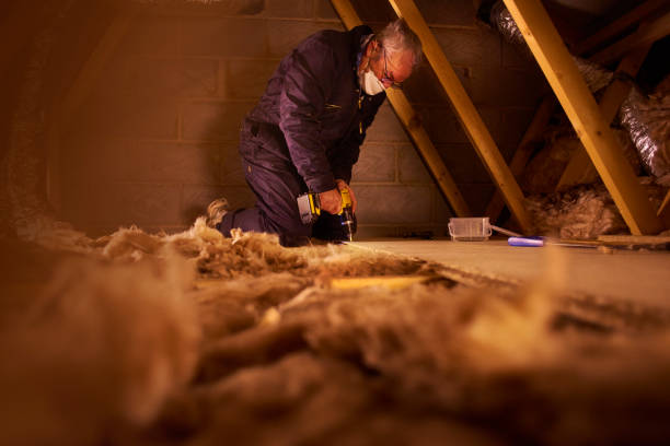 Best Attic Insulation Installation  in Hannibal, MO